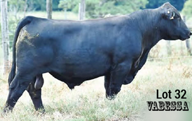 Lot 32 - TJB 921U VALERO 4110C ET